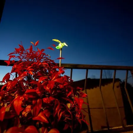 Casa Dos Arcos Сasa de vacaciones