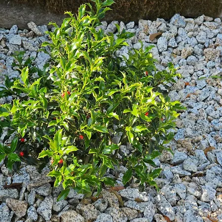 Casa Dos Arcos Σπίτι διακοπών