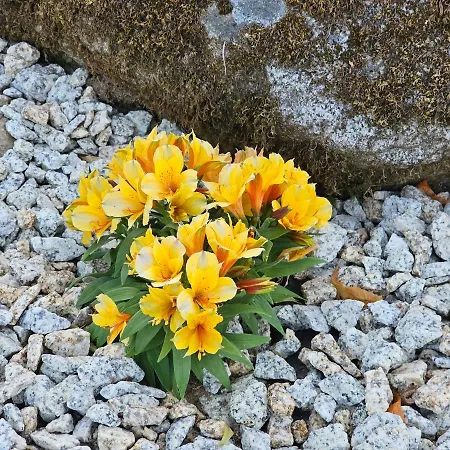 Σπίτι διακοπών Casa Dos Arcos