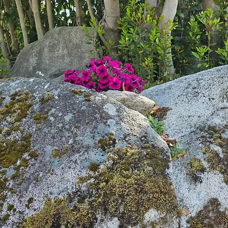 Casa Dos Arcos Σπίτι διακοπών