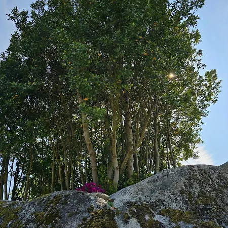 Casa Dos Arcos Сasa de vacaciones *