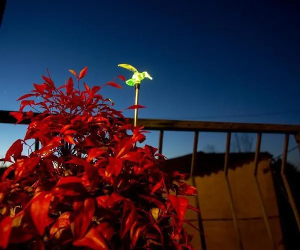 Casa Dos Arcos Prázdninový dům