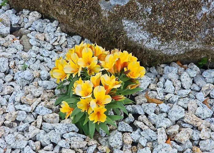 Prázdninový dům Casa Dos Arcos