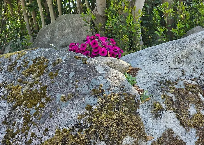 Casa Dos Arcos Prázdninový dům