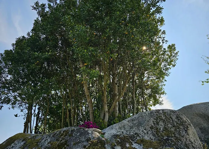 Casa Dos Arcos Prázdninový dům *