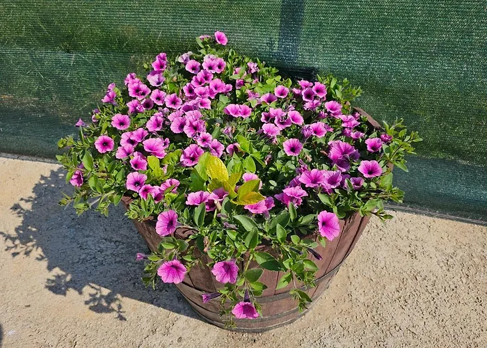 Prázdninový dům Casa Dos Arcos